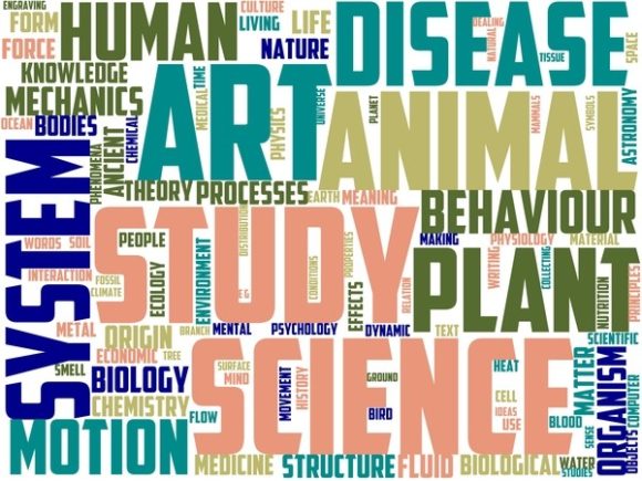 Gigantology Wordart Sublimation