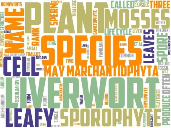 Hepaticology Wordart Sticker: A Creative Tool for Modern Designers