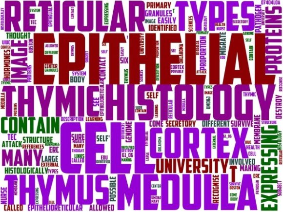 Histophysiology Wordart Crafting