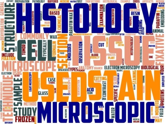 Histotechnology Wordart Print: A Creative Expression for Every Project