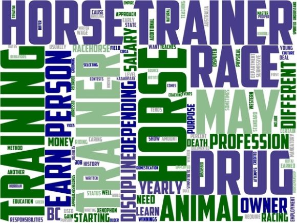 Horse Trainer Wordart Banner: A Creative Tool for Inspiration and Design